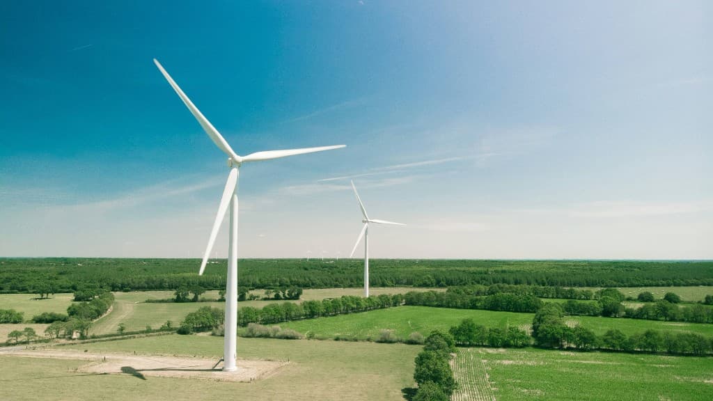 Pale eoliche in campagna verde — sostenibilità e energia rinnovabile NYORAI Società Benefit